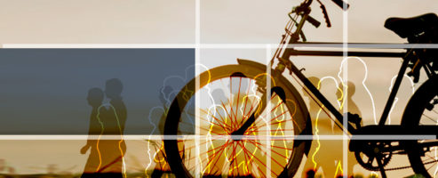 Conferencias, Apostolado Social